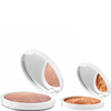 RAYsistant Bronzing Powder